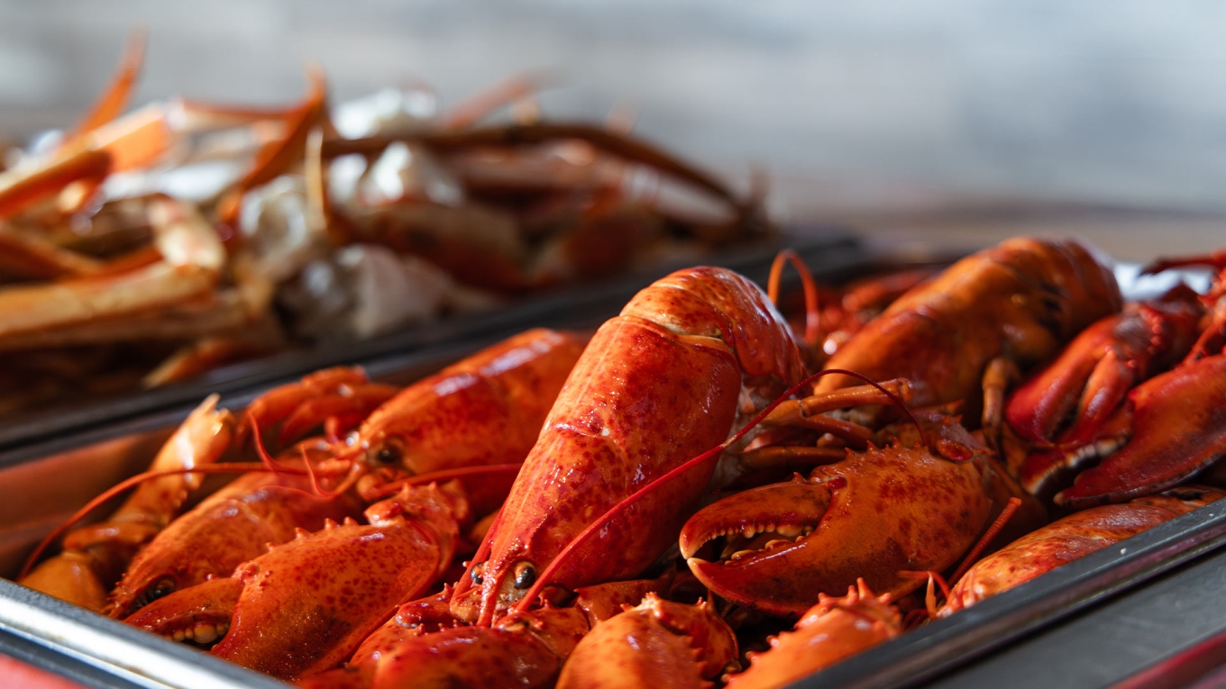 A.Y.C.E. Lobster