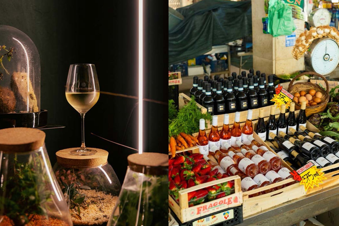 Vetri Cucina - San Marzano Wine Dinner